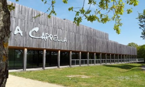 A-CAPPELLA-besne.jpg
