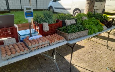 marcher-des-producteur-01.jpg